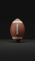 Prepped Wilson GST